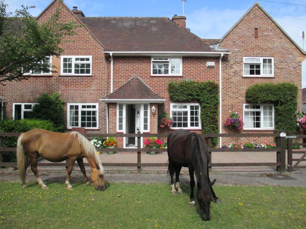 הוילה Hops Main House, Brockenhurst, New Forest מראה חיצוני תמונה